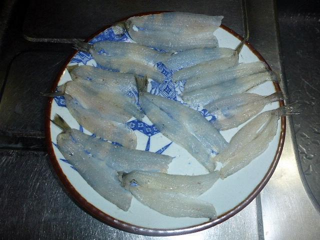 大ちゃんの釣りに行こうが面白い お魚をおいしく